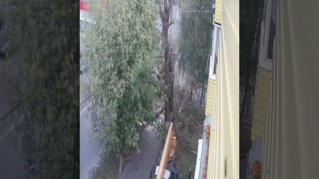 #ШАТУРА, #ИЛЬИЧА, #НАМНЕВСЁРАВНО, #ГОРОД, #УБОРКА, опиловка деревьев 3 смотреть онлайн