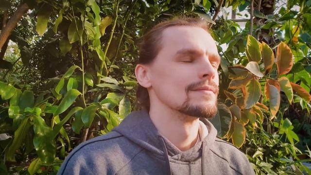 Устройство для успокоения и нормализации сна forRest смотреть онлайн