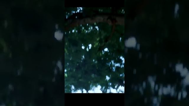 just beyond Movie Clip 🎥, A grandmother with magical powers смотреть онлайн