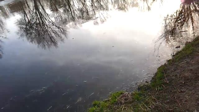 Буг! Мухавец ! Паводок ! смотреть онлайн