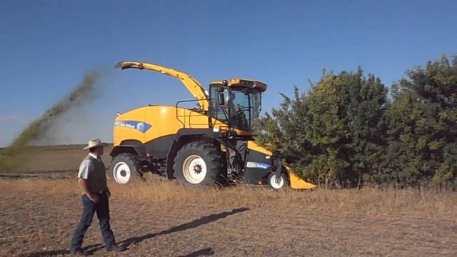 Caragana Trees 2 смотреть онлайн