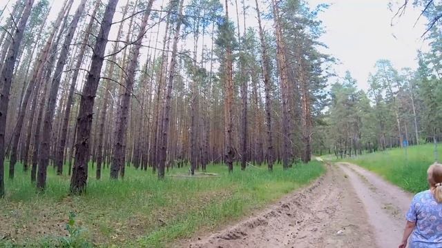 Выходные с семьей смотреть онлайн