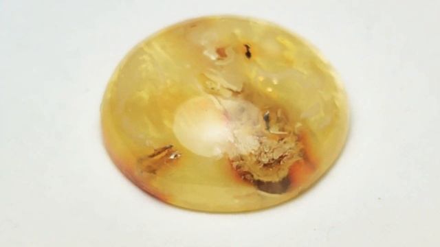 Кабошон янтарный. смотреть онлайн