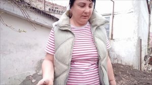 ДОМОЙ ПАЛКОЙ НЕ ЗАГОНИШЬ, ПОЛИВАЮ, САЖАЮ, ОГОРОДНЫЕ ДЕЛА