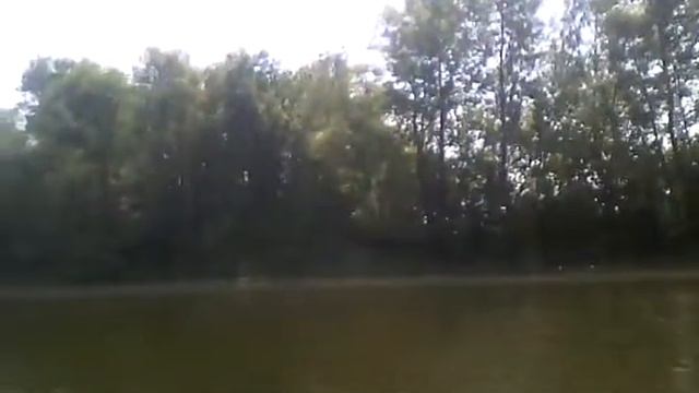 Природа Самарки смотреть онлайн