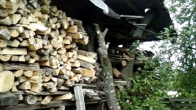 Дятел долбит старую черёмуху смотреть онлайн