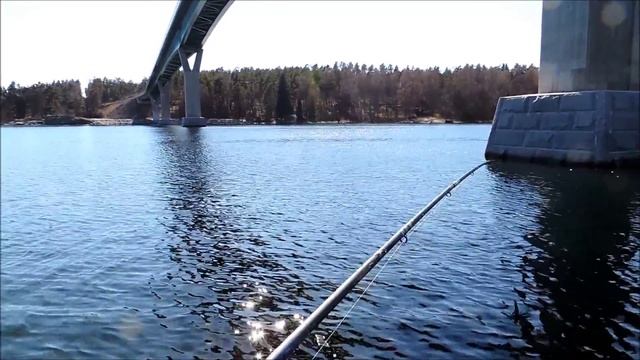 LAKERDALIK RINGALAR  21 4 2014