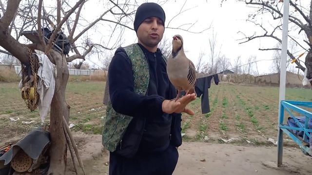 Охота кеклики смотреть онлайн