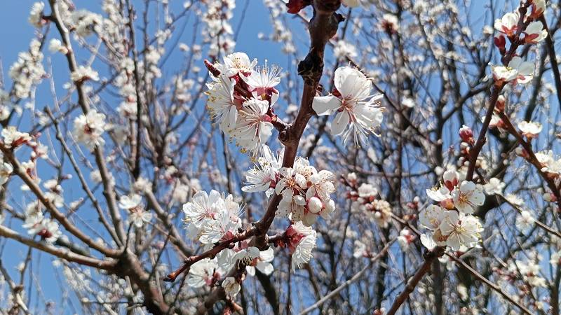 Живу на Море. Обзор моих владений)