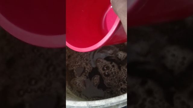 Organic Fertilizer for all plants|| #organicgardening смотреть онлайн