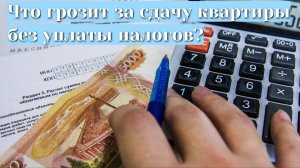 Что грозит за сдачу квартиры без уплаты налогов?