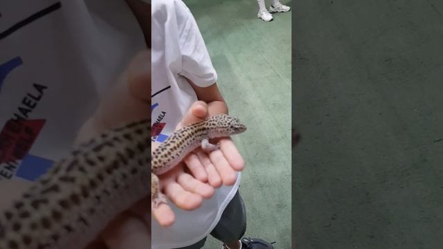 Семейный отдых в центральном парке Астаны. 30.06.2023. смотреть онлайн