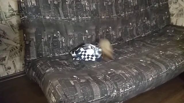 Примерка халата смотреть онлайн