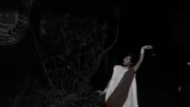 The AVAST Warrior: Avast vs. Virus смотреть онлайн