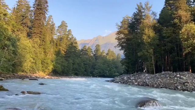 Nature with the sound of running water and the sound of birds смотреть онлайн