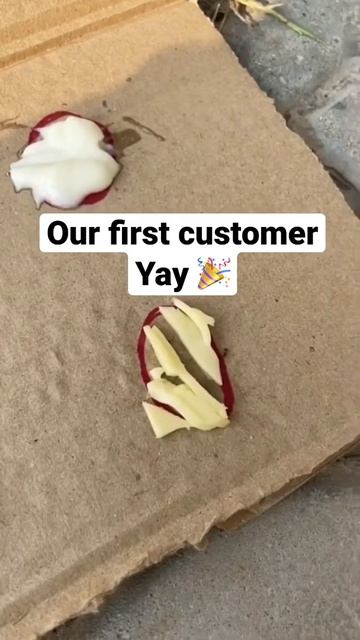 Ant Restaurant: We have the best Menu 🧑🏽🍳🤌🏼🧀 #shorts #ants #food смотреть онлайн