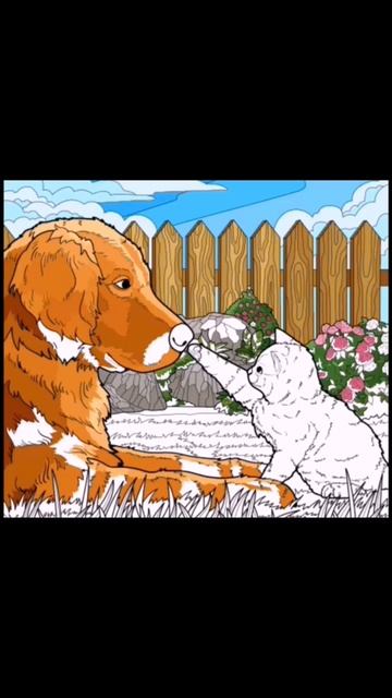 Dog and Cat How My Drwing And coloring & paint #dog #cat #drawing #coloring #paint #youtubeshorts смотреть онлайн