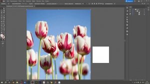 Как вырезать изображение (объект) в Adobe Illustrator. Как отделить объект от фона.