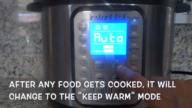 Instant Pot Duo Plus Tutorial || In Tamil With English Subtitles || Homemade Samayal смотреть онлайн