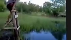 Деревенский отдых  Прикольное видео