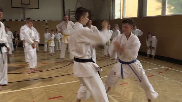 Skúšky v karate klube SEIKEN Bratislava 21.6.2018 смотреть онлайн