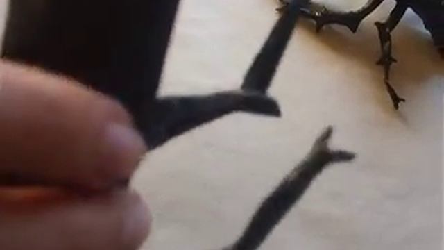 origami horiguchi naoto ...lupiyo смотреть онлайн