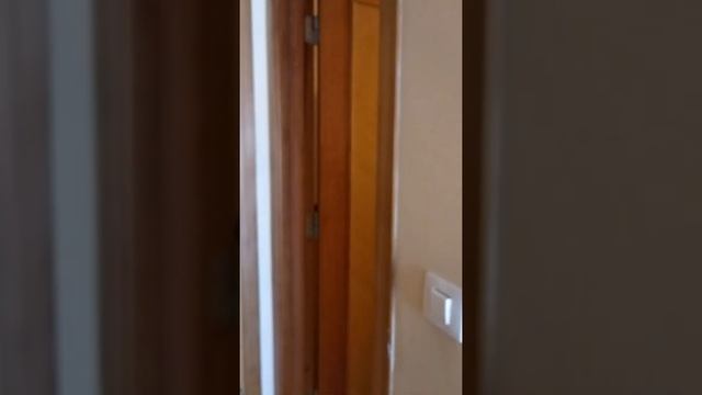 Африка.Тунис. 2день.13 июня 2021год смотреть онлайн