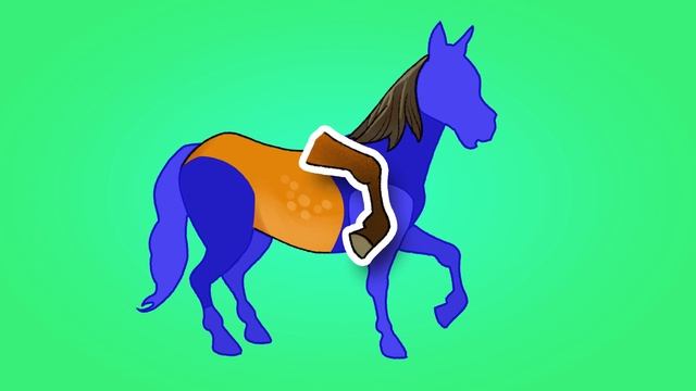 Club Baboo | Animal ABC And Other Fun Things With Baboo The Monkey!