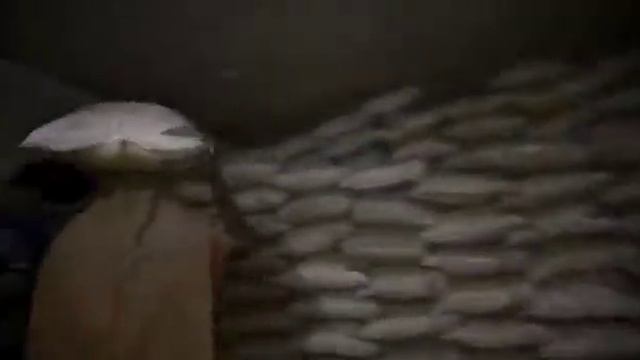 cement bags unloading Shop смотреть онлайн