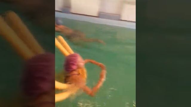 санатория Арман Караганда Сортировка смотреть онлайн