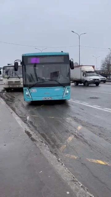 Автобус МАЗ-203🚌 Санкт-Петербург. спасибо каналу @Transport_Our_Time