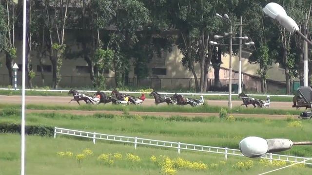 Московский ипподром. Бега. 02.06.13. Заезд 12(237)