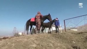 Эльтаркач