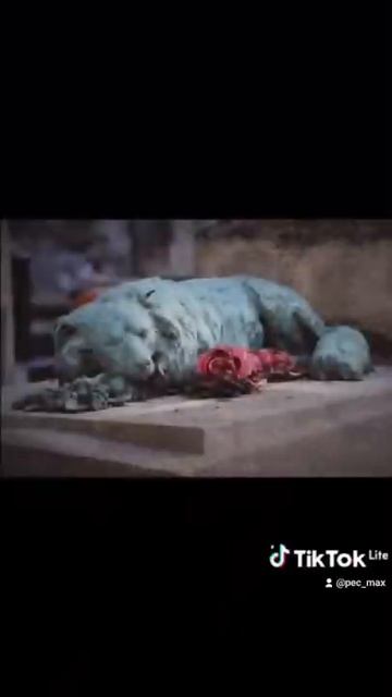 смерть собаки😭😭😭😭💔 смотреть онлайн