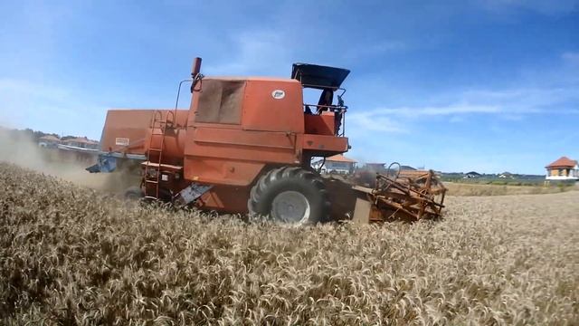 Przedpołudniowe żniwa Bizonem Super Z 1989 Roku