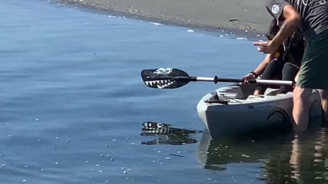 Desi Family Fun Day Out | Toffee Paratha | Chicken Apple Salad | Jasmin Bilal