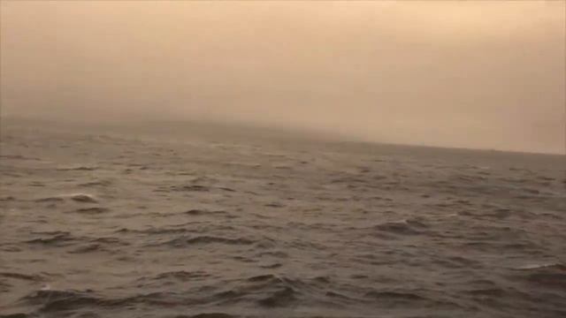 The Deadliest Swim смотреть онлайн
