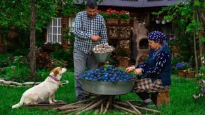 Маринованные Сливы с Чесноком | Уникальная и Вкусная Закуска