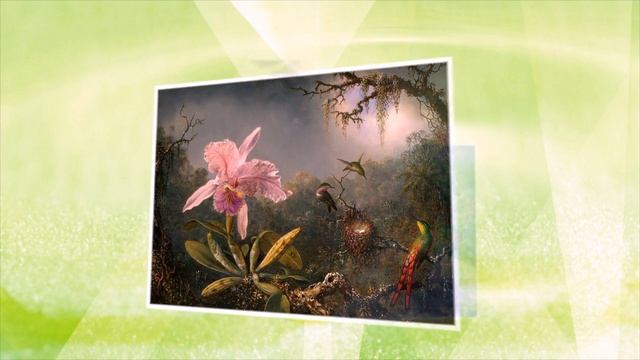 Цветы - Flowers - Fleurs смотреть онлайн