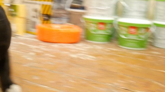 видосик про кота Хетзера смотреть онлайн