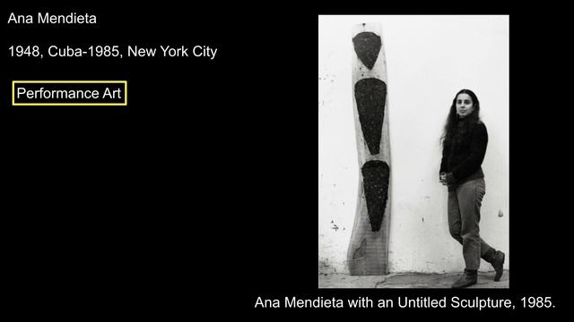 Lesson 8 6 American Art 1970s