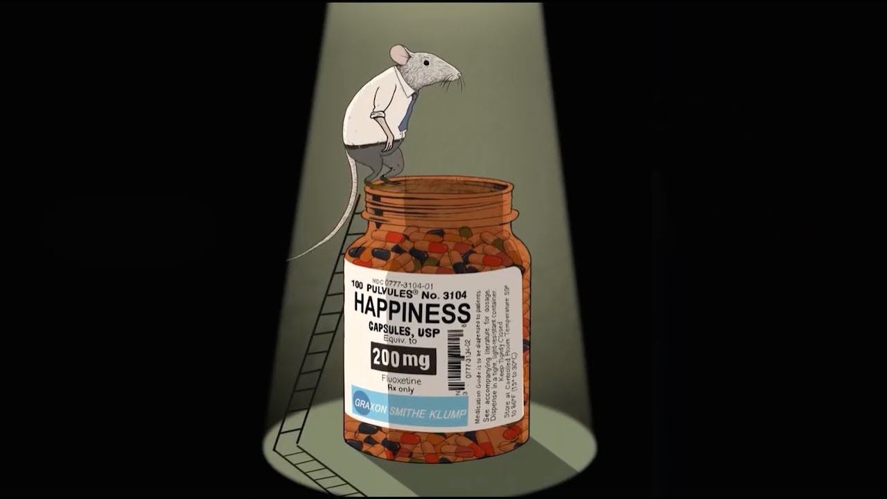 Дао - Планы, цели смотреть онлайн