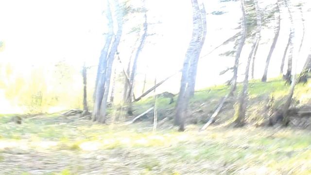 MVI_9548.MOV смотреть онлайн