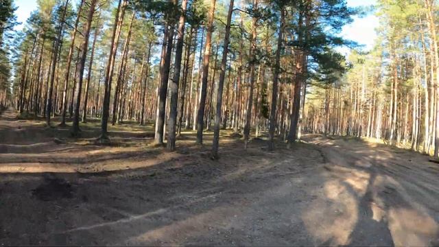 BMW R 1300 GS OFF-ROAD ADVENTURE, Motorcycle Travel Vlog On The TRANS EURO TRAIL, Estonia Bog Trail