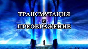 ТРАНСМУТАЦИЯ и ПРЕОБРАЖЕНИЕ. Как ваше физическое тело преобразовывается из углеродного в кремниевое
