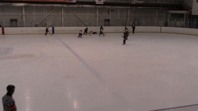 02/04/18. Кубок Федерации 17/18. Группа Б. ХК СКА ХКД (Колпино) - ХК Красная Звезда 2008-1 СПб - 2- смотреть онлайн