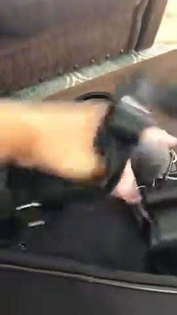 Best Women Backpack Purse Waterproof | Nylon Lightweight Shoulder Bag смотреть онлайн