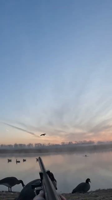 Twofer #geese #hunting