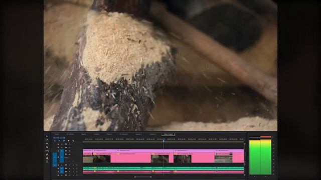 REVERSE VIDEO and SOUND Broll - Premiere Pro Timeline смотреть онлайн