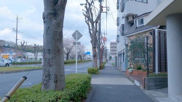 No.572【4K】和田・東寺方（東京都多摩市）